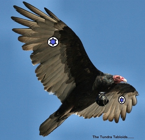 Saudi Authorities Capture Mossad Agent~Vulture R65