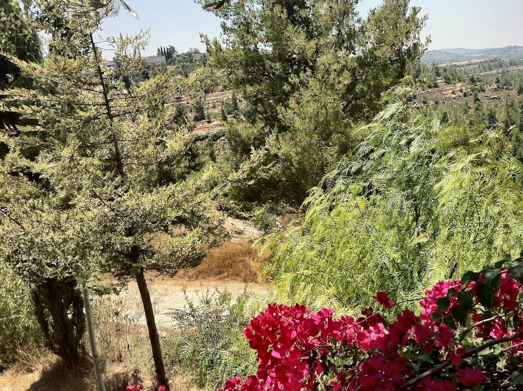 A Walk Through Our Valley in Israel…