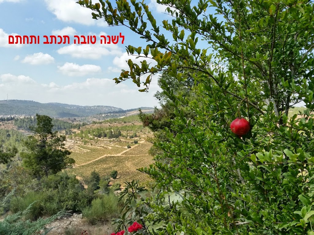 Shana Tova~Rosh Hashanah 5775